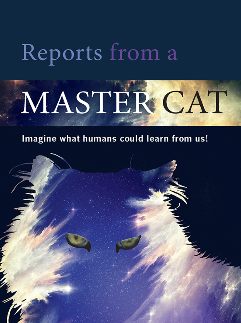 reports-from-a-master-cat-front-cover